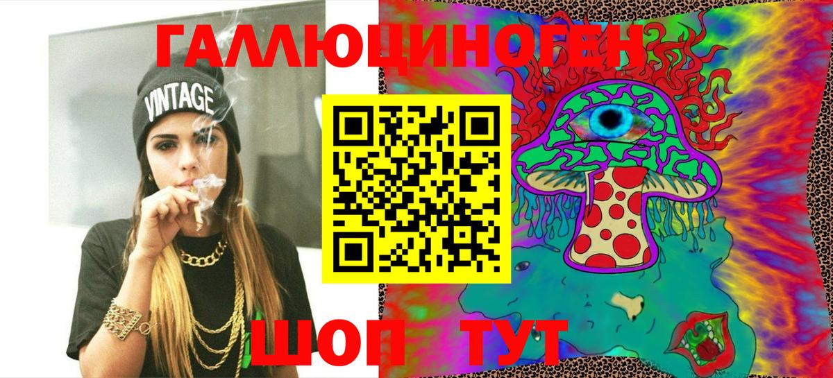 Галлюциногенные грибы Psilocybine cubensis Новокуйбышевск